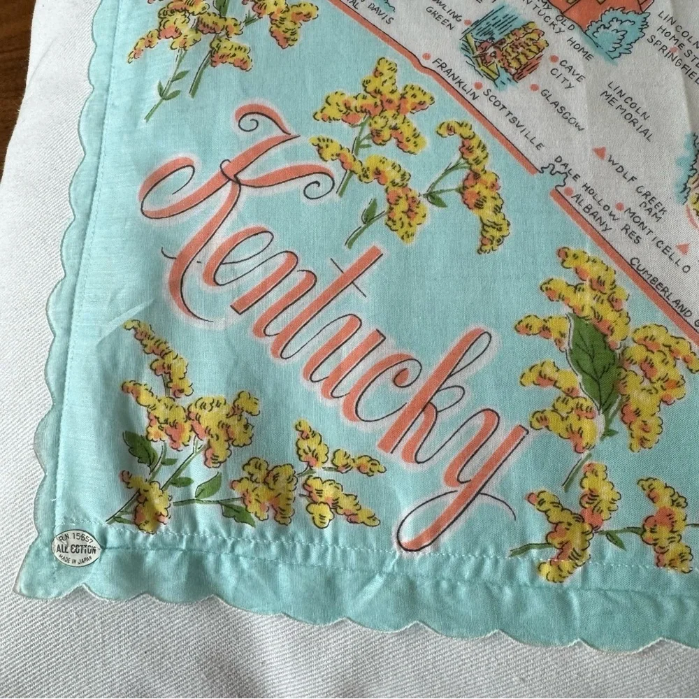 Vintage Kentucky Handkerchief Pillow Shabby Chic Retro Country Cabin Decor - Picture 2 of 5